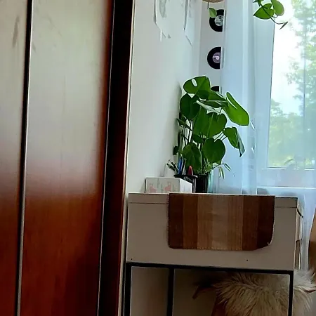 Czesnikowska Na Targi Stadion Mtp *